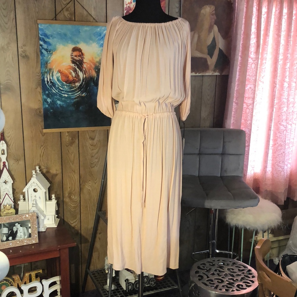 NWT Pretty Designer Sheer Dress
